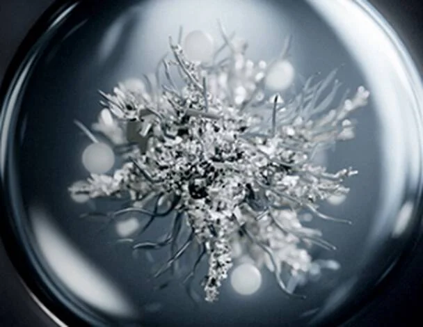 Environmental Stressors